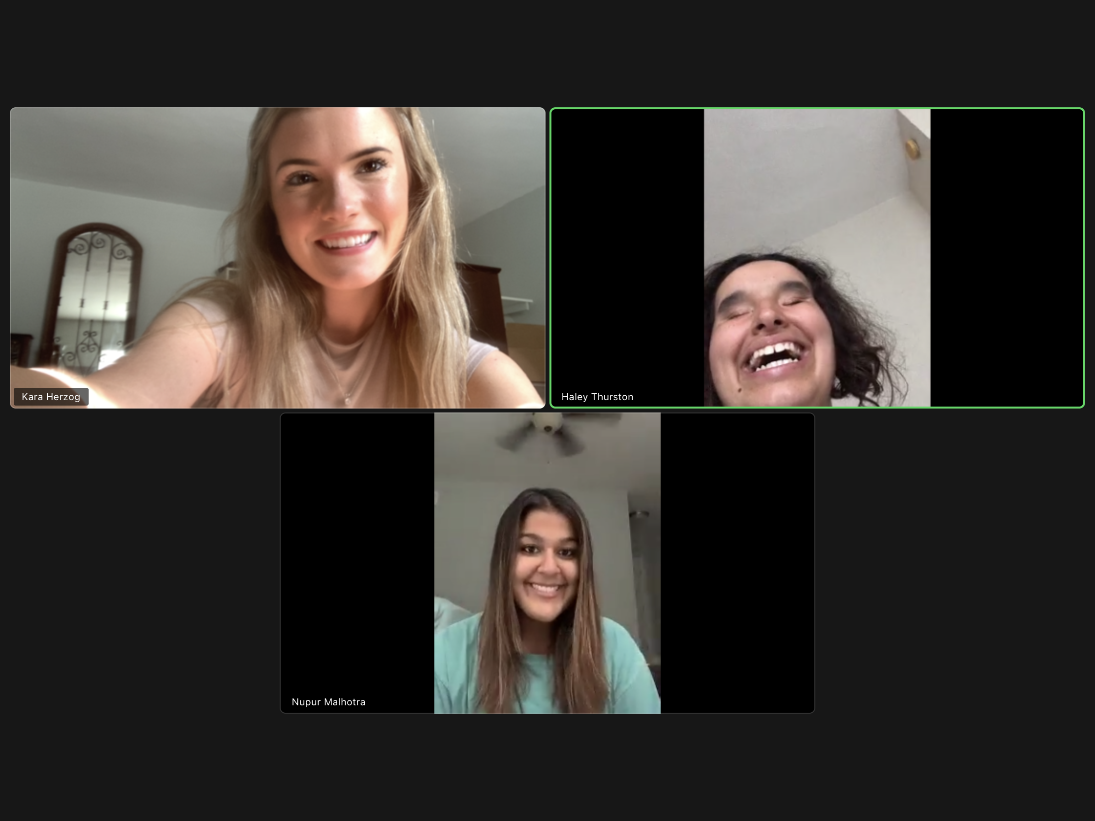 Zoom meeting with Kara, Nupur, and Haley Thurston