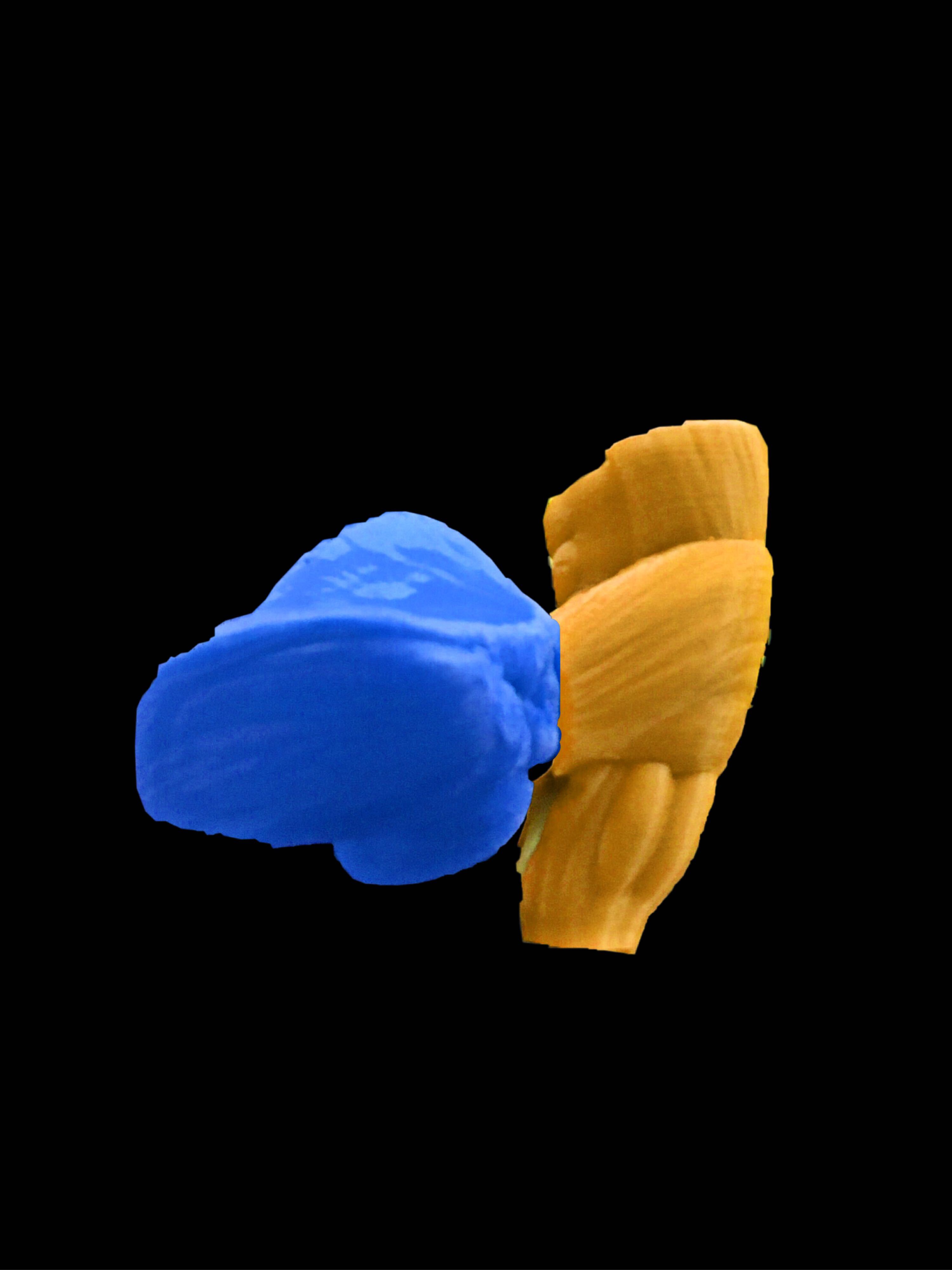 Brain Stem 3D Model